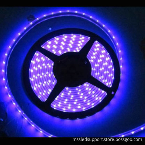Flex LED Strip Light 5050 SMD